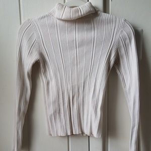 Classic Ribbed Turtleneck